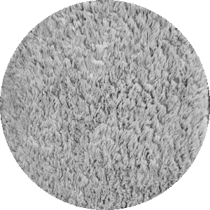 Gray Color